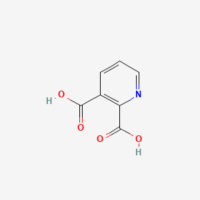 2,3-пиридиндикарбоновая